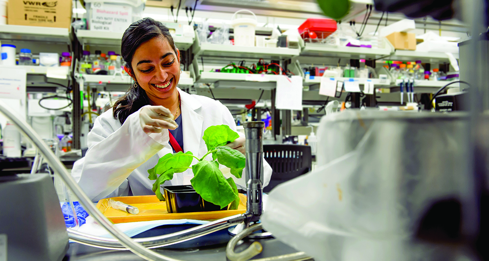 School of Life Sciences